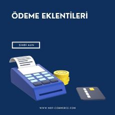 Ödeme Eklentileri kategorisi için resim